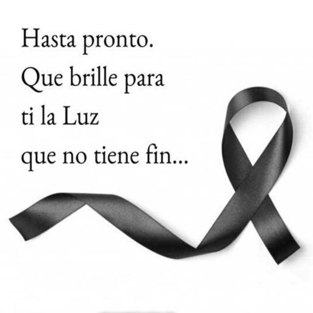 Meet your Posher, Bunny